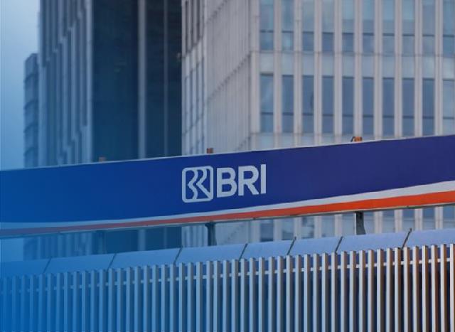 Pinjaman Briguna Karya BRI Dan Syarat Terbaru 2025 3 Pinjaman Briguna Karya BRI