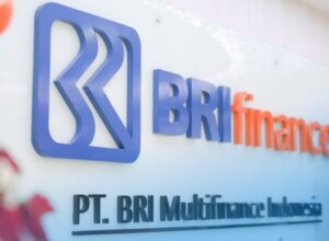 BRI Finance Melayani Apa Saja