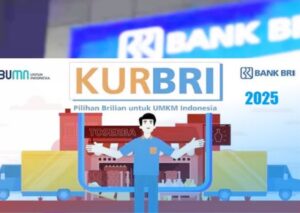 Berapa Lama Survey KUR BRI Setelah Pengajuan