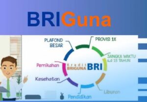 Melunasi Hutang Briguna