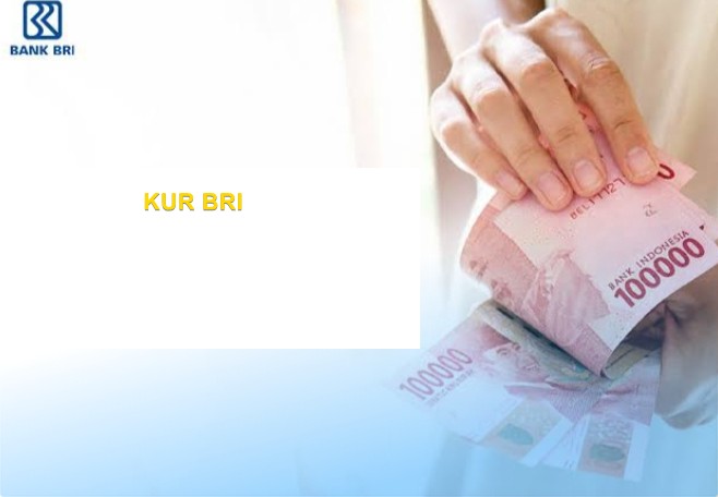 Pengajuan KUR BRI Tidak Ada Kabar